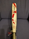 Pala Babolat Juan Lebron Technical Viper 2025